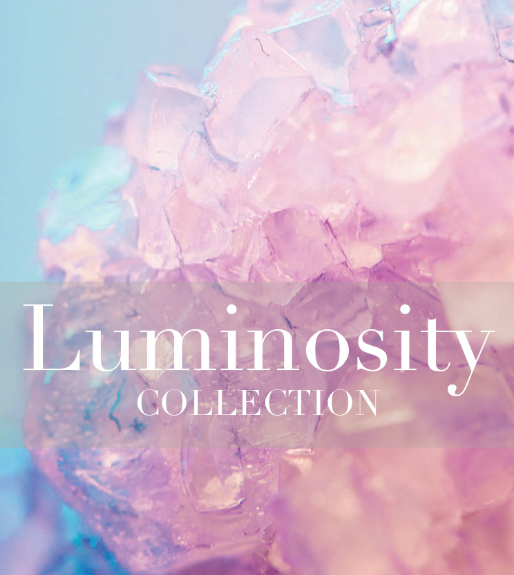 Luminosity Collection